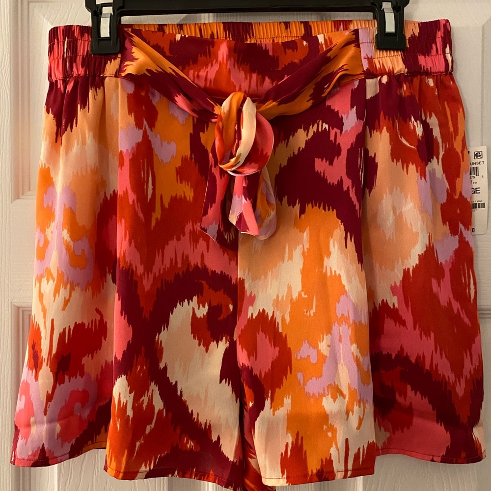 Multicolored shorts